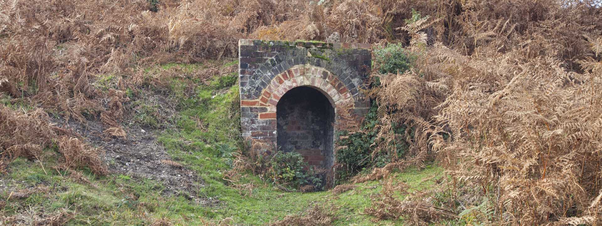 Napoleonic Rifle Range - New Forest National Park Authority