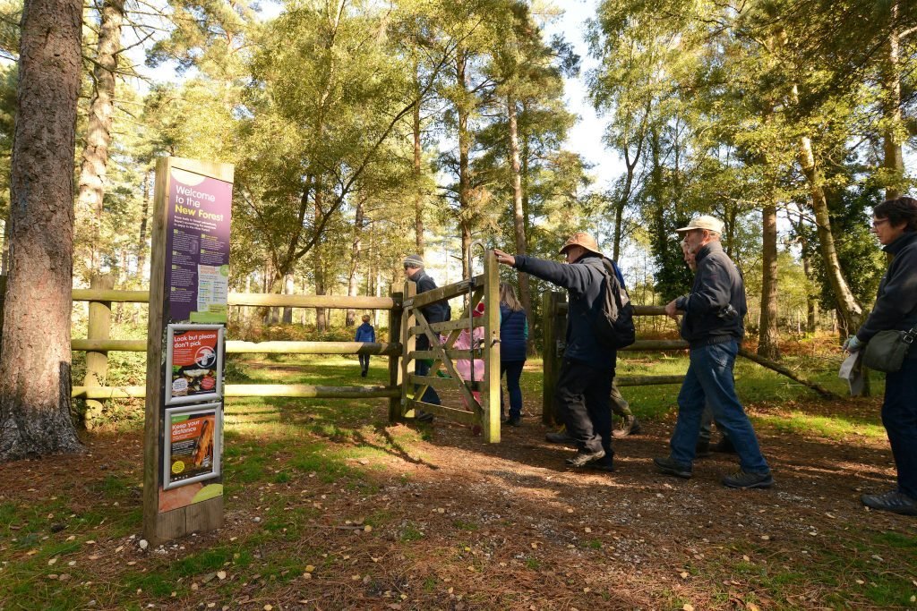 Popular New Forest Walking and Cycling Festival Returns for 2022 New