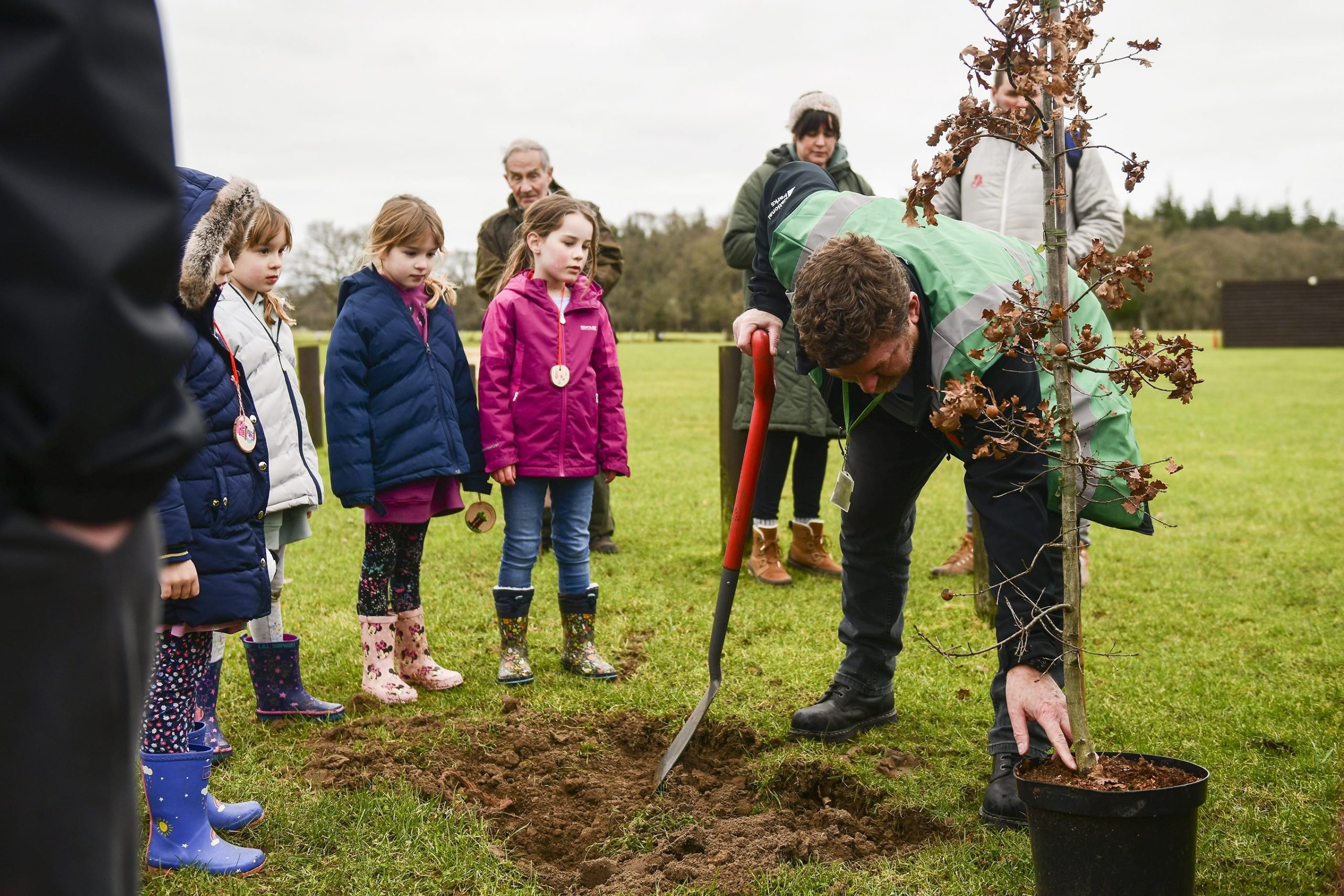 Careers and opportunities with trees and arboriculture - New Forest ...