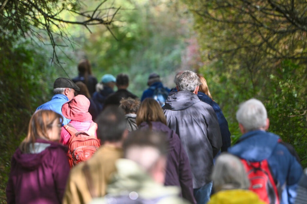 A group of people walking along a path surrounded by trees