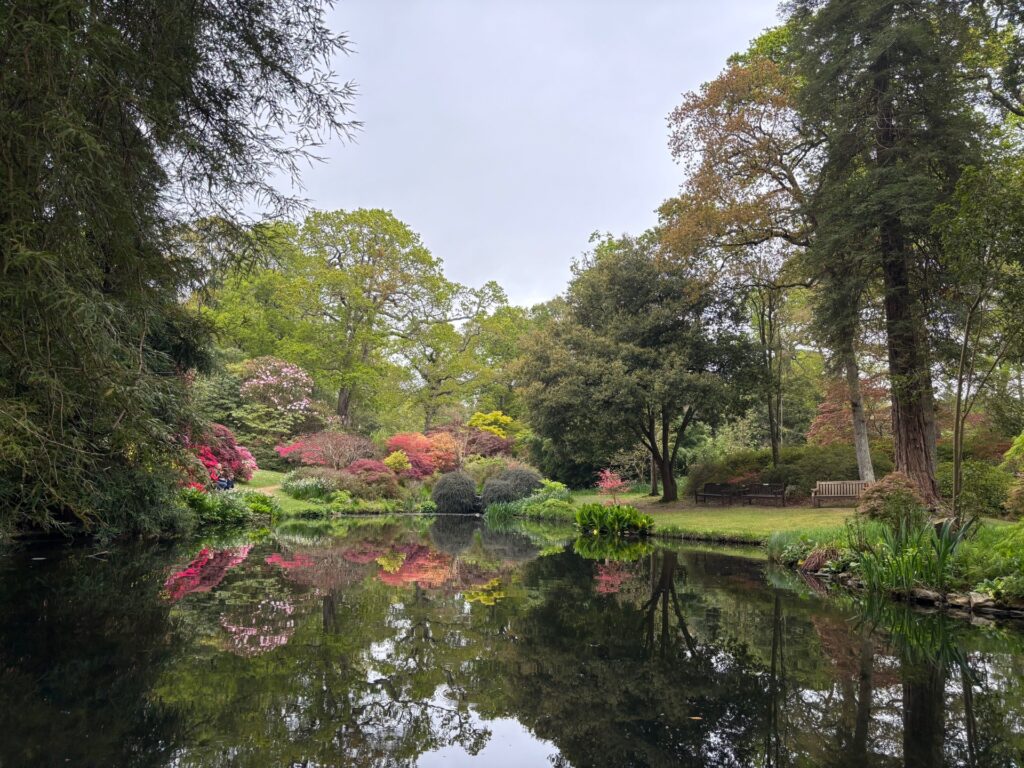 a lake with colourful plants reflected in it