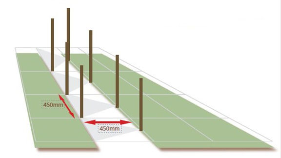 Hedge planting graphic