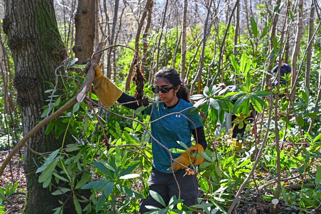 a person wearing protective gloves holding a branch