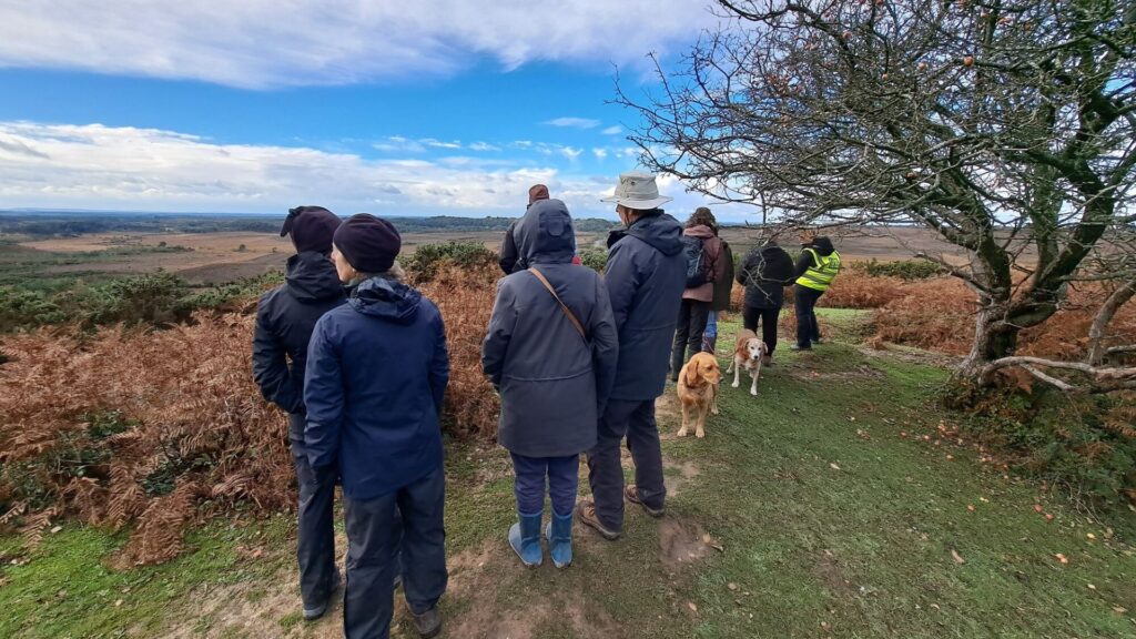 a group of people and two dogs on a hill looking at the view