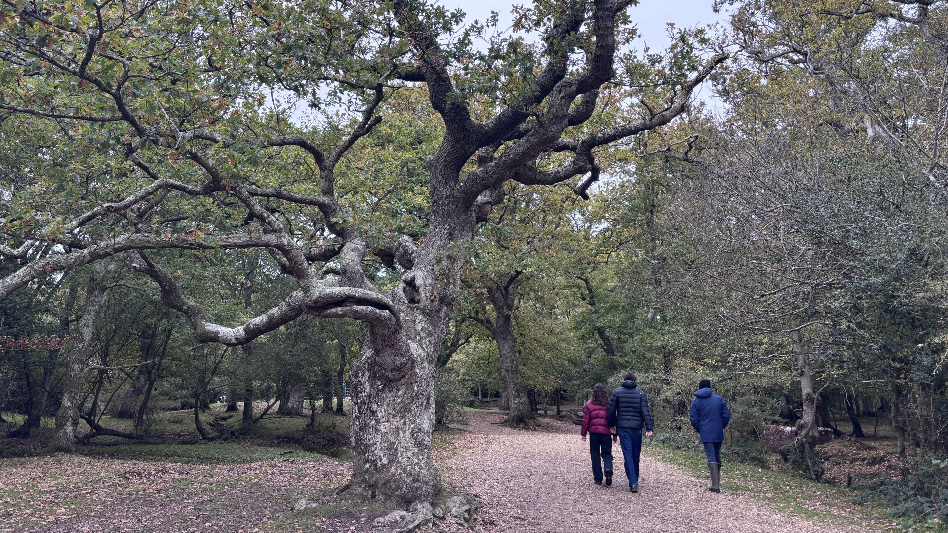 three people in coats walking on a path by trees