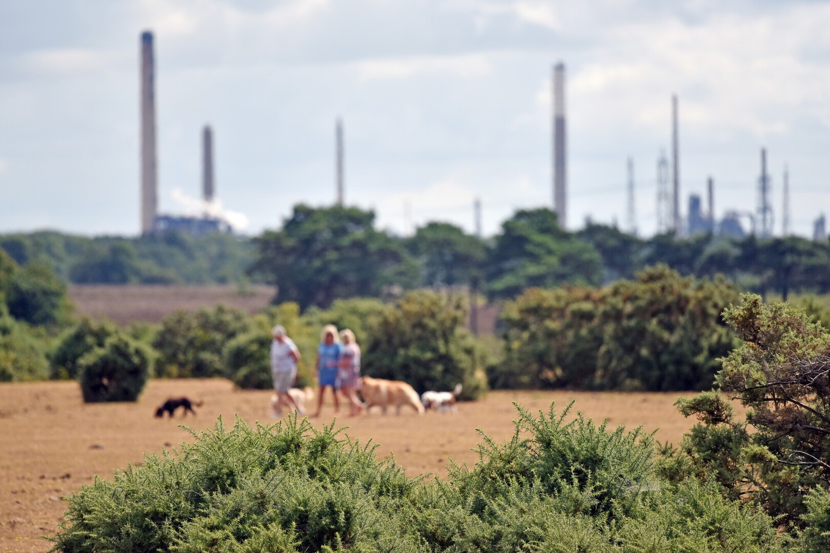 three people walking dogs with chimneys behind