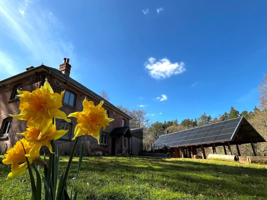 RSPB Cameron's Cottage on a sunny day with daffodils in the foreground