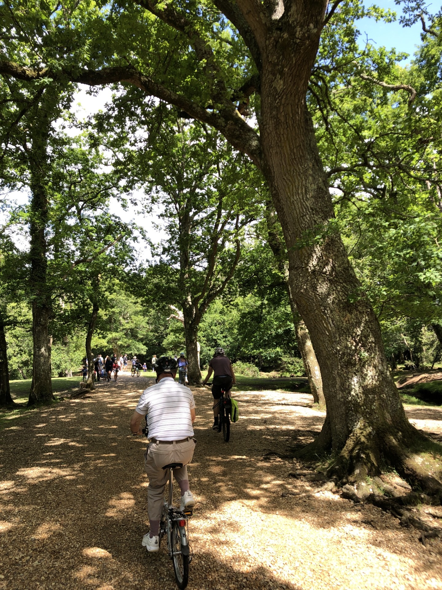 A man cycling on a gravel path among trees