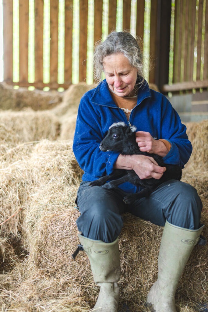 Lady farmer sitting on hay bale holding lamb