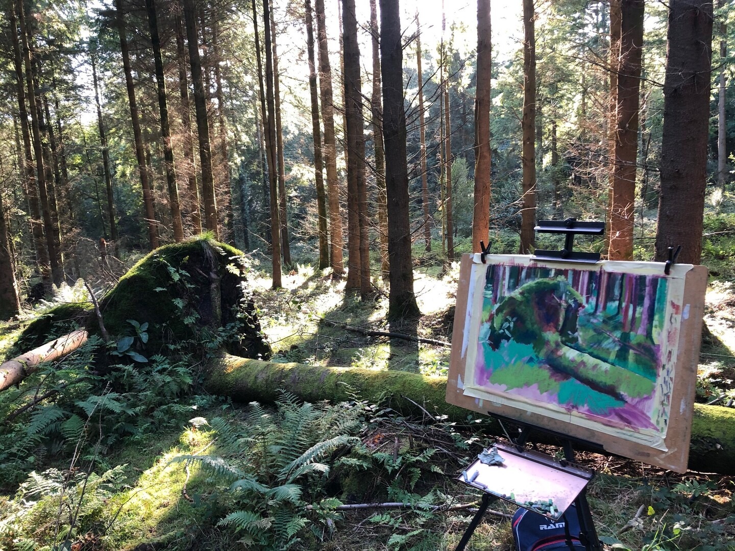 painting in New Forest woodland
