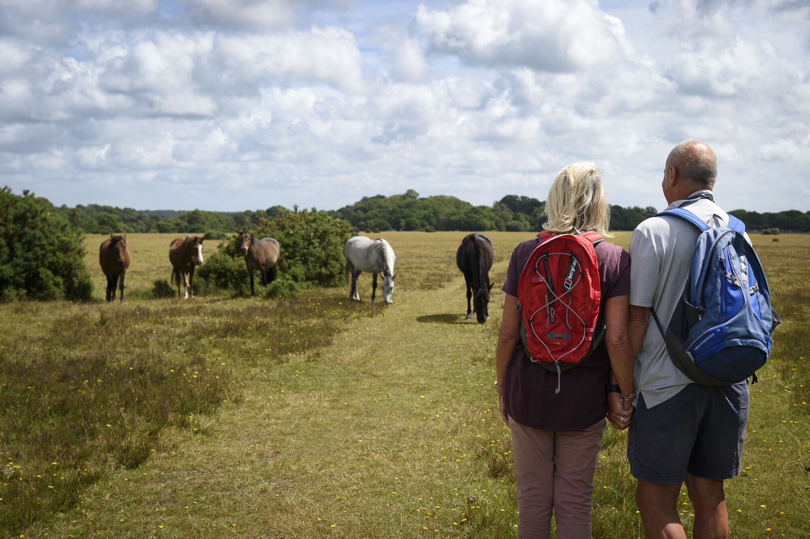 Two walkers with backpacks hold hands on a grassy path at Wilverley Plain, watching ponies grazing