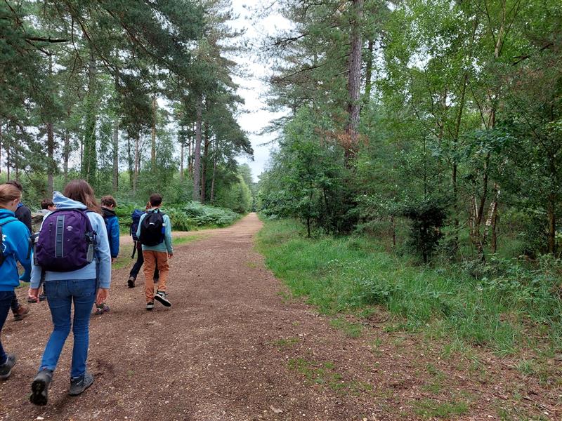 young people walking along a path in a woodland