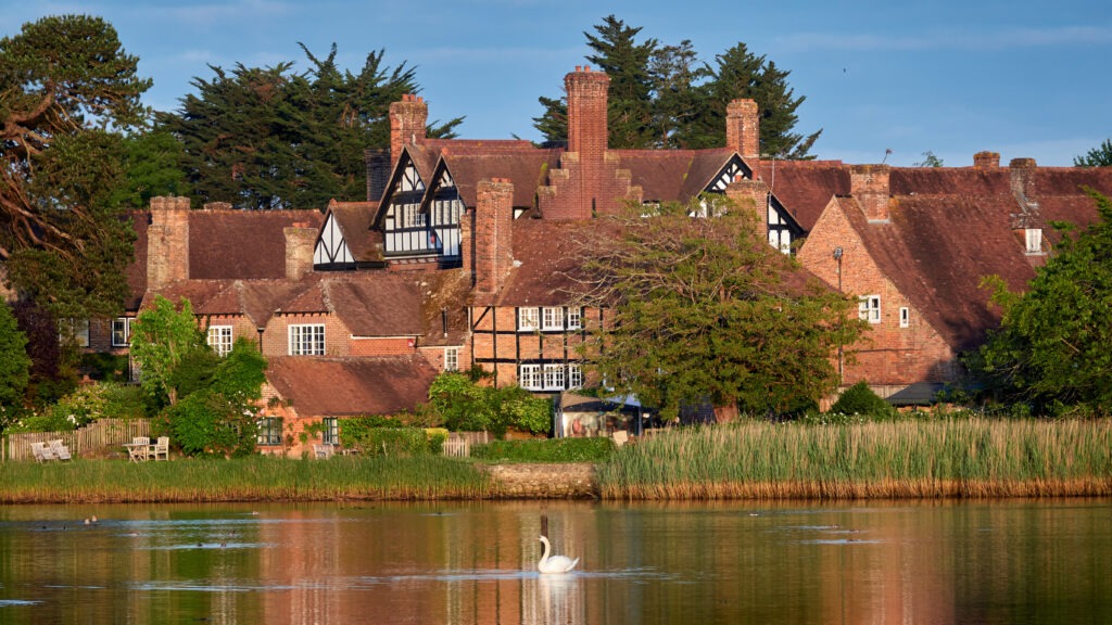 A swan in a pond in front of old buildings