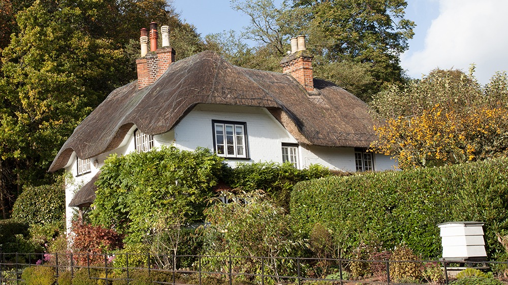 A thatched cottage in the sunshine with hedges and a beehive