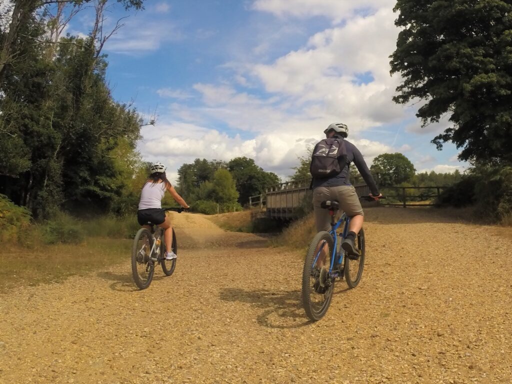 Two cyclists following a dirt track in the New Forest.