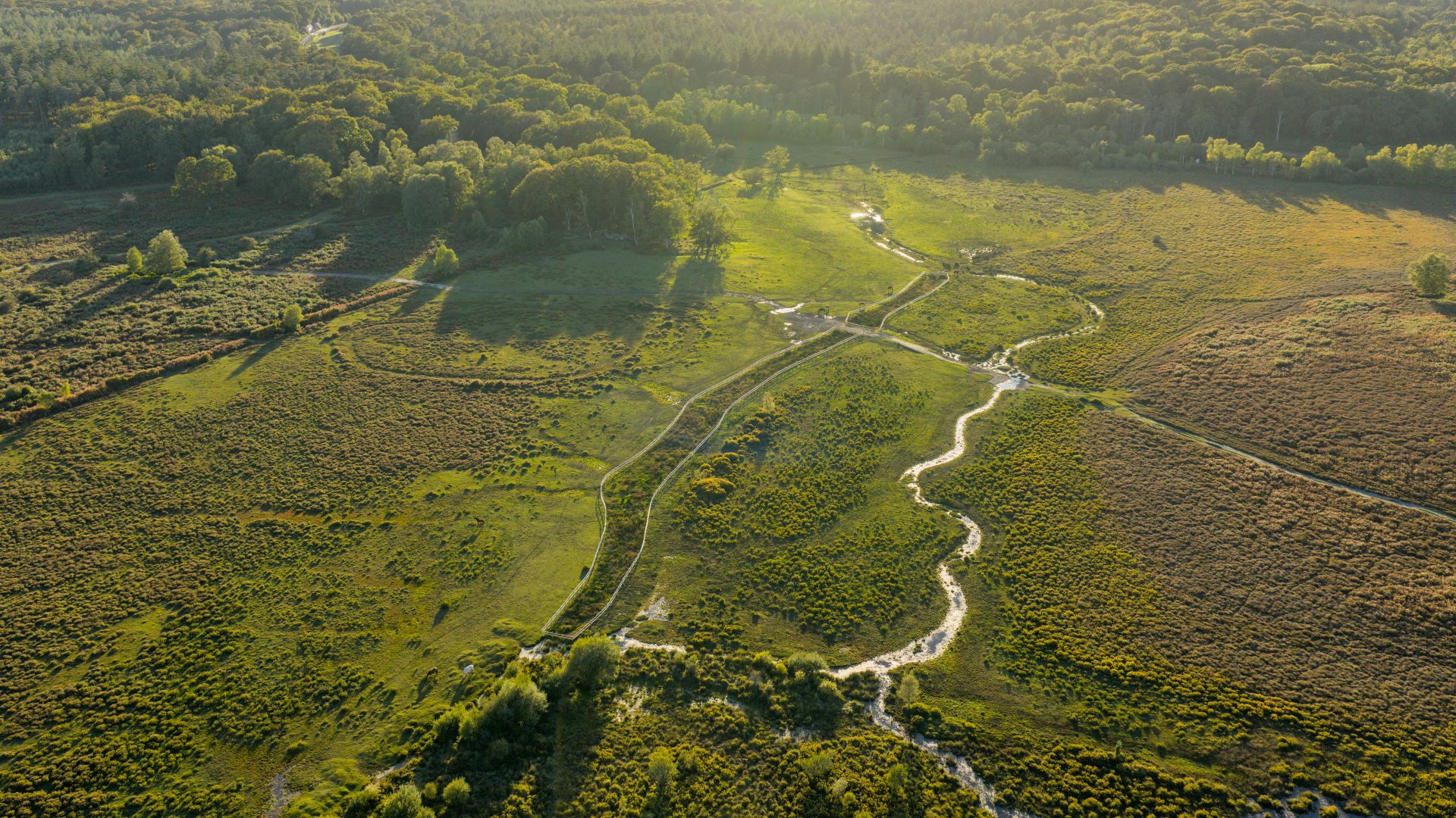 HLS site at Penny Moor by Matt Roseveare