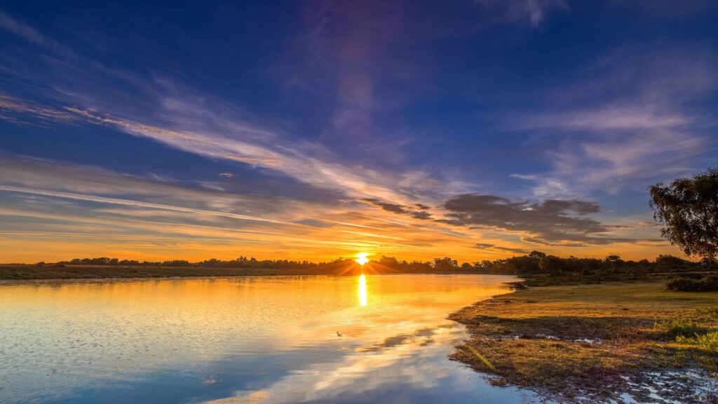 a large pond at sunrise