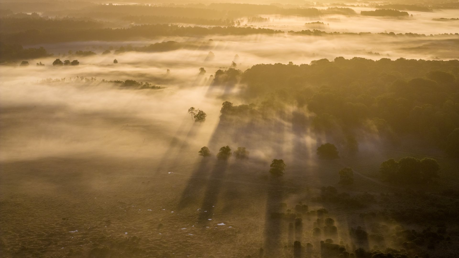 Vast heathland shrouded by a low mist
