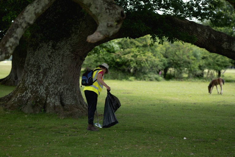 Work With Us to Shape the New Forest's Future - New Forest National Park