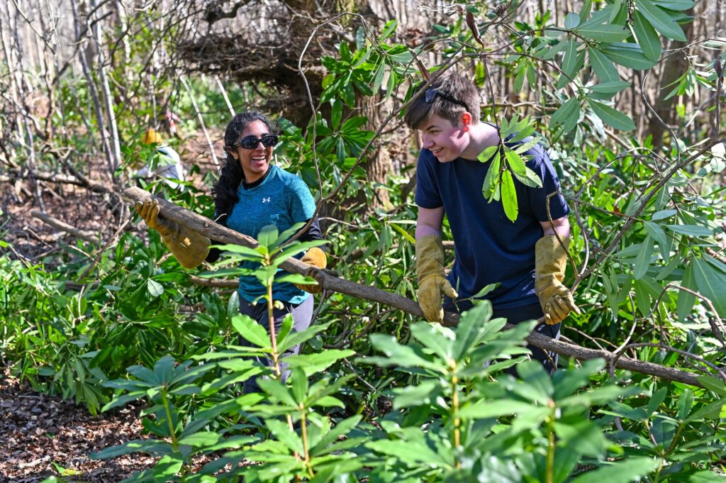 Two young adults, a boy and a girl, clearing rhododendron in a wooded area.
