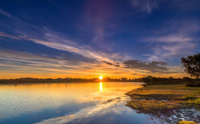 Sunset over a forest pond