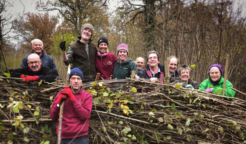 Group of people standing behind coppiced logs