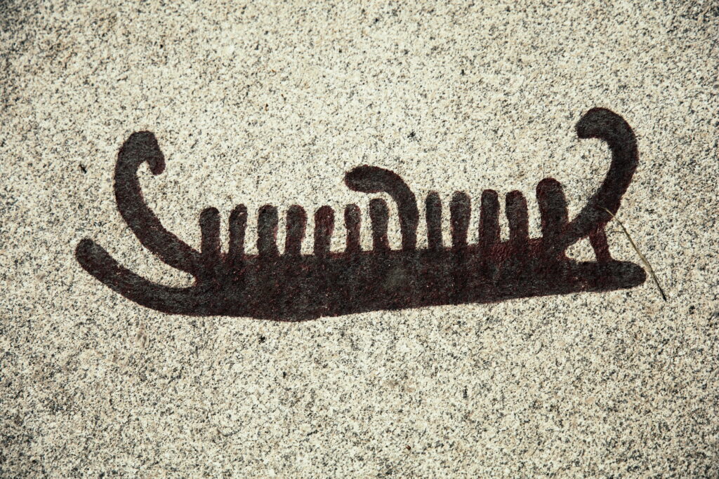 christer-ehrling-bIBlfakaI7U-unsplash (1)