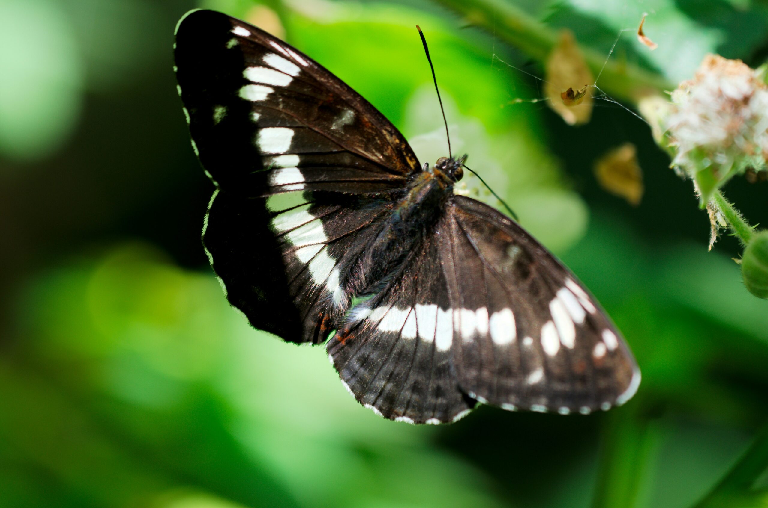 paul-longhurst-zwR1htQWoLA-unsplash