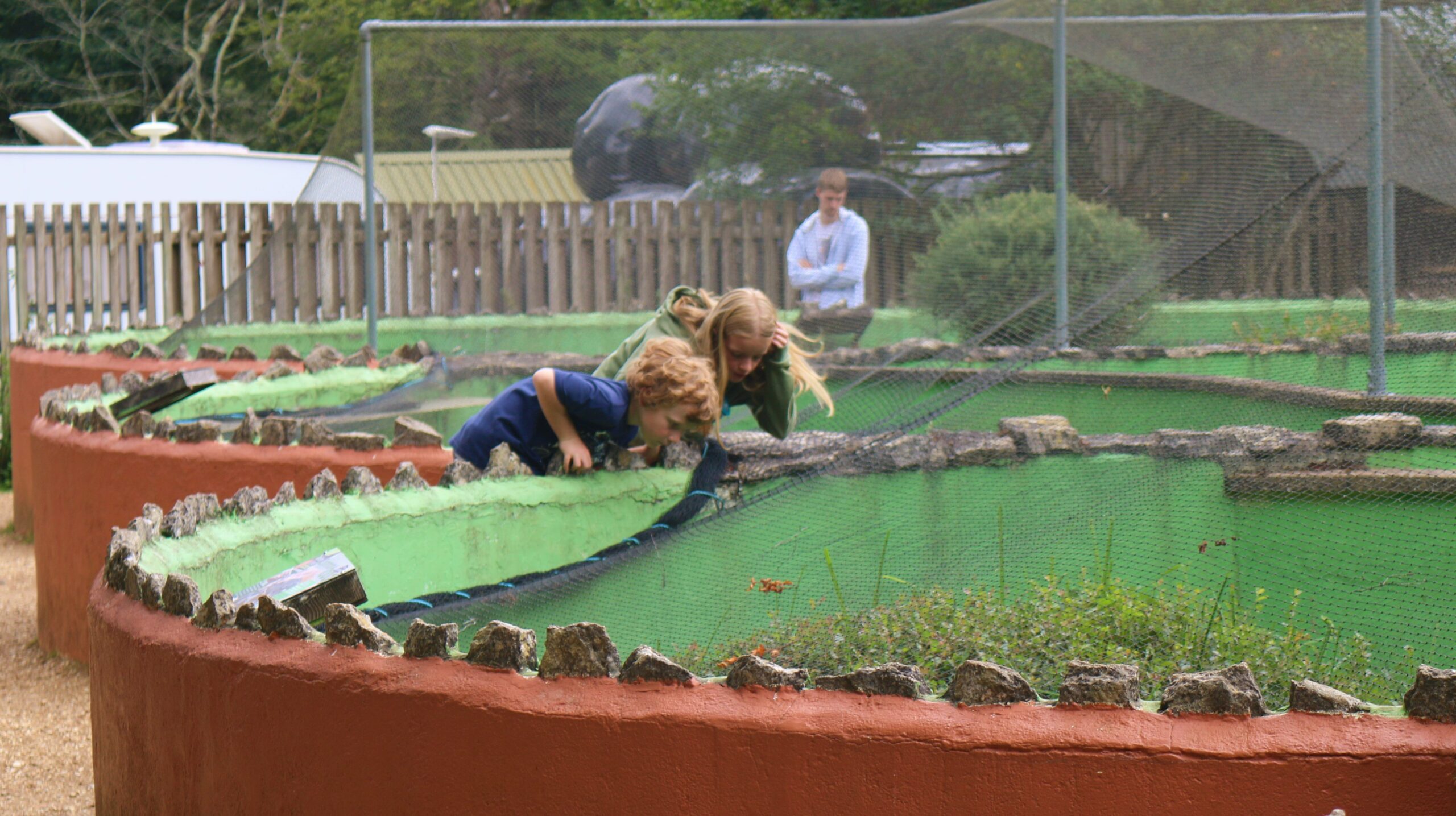 Two children lean over a netted reptile enclosure on a discovery trail while an adult stands in the background