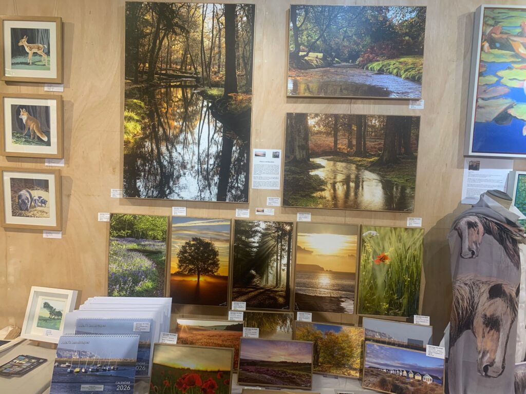 Exhibition of New Forest art