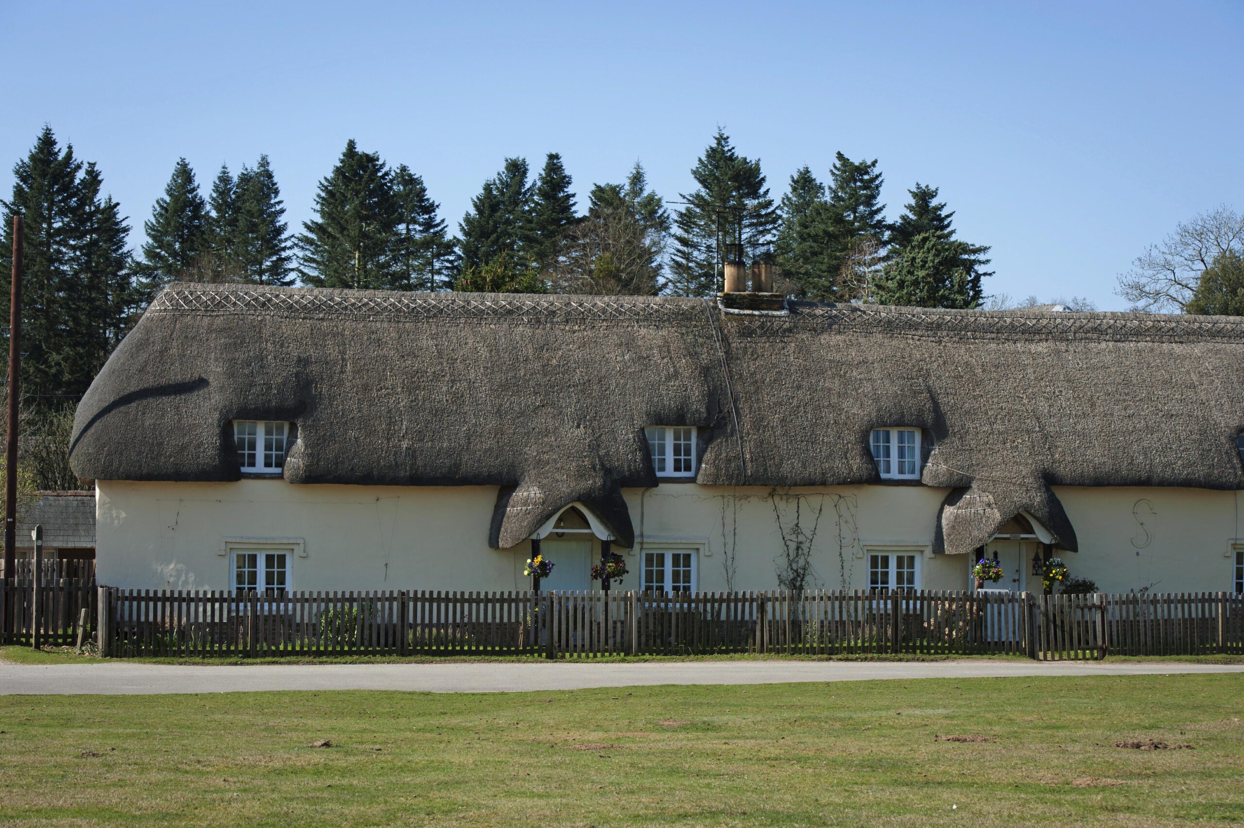 Long thatched-roof cottage with dormer windows and a picket fence, with tall pine trees behind under a clear blue sky