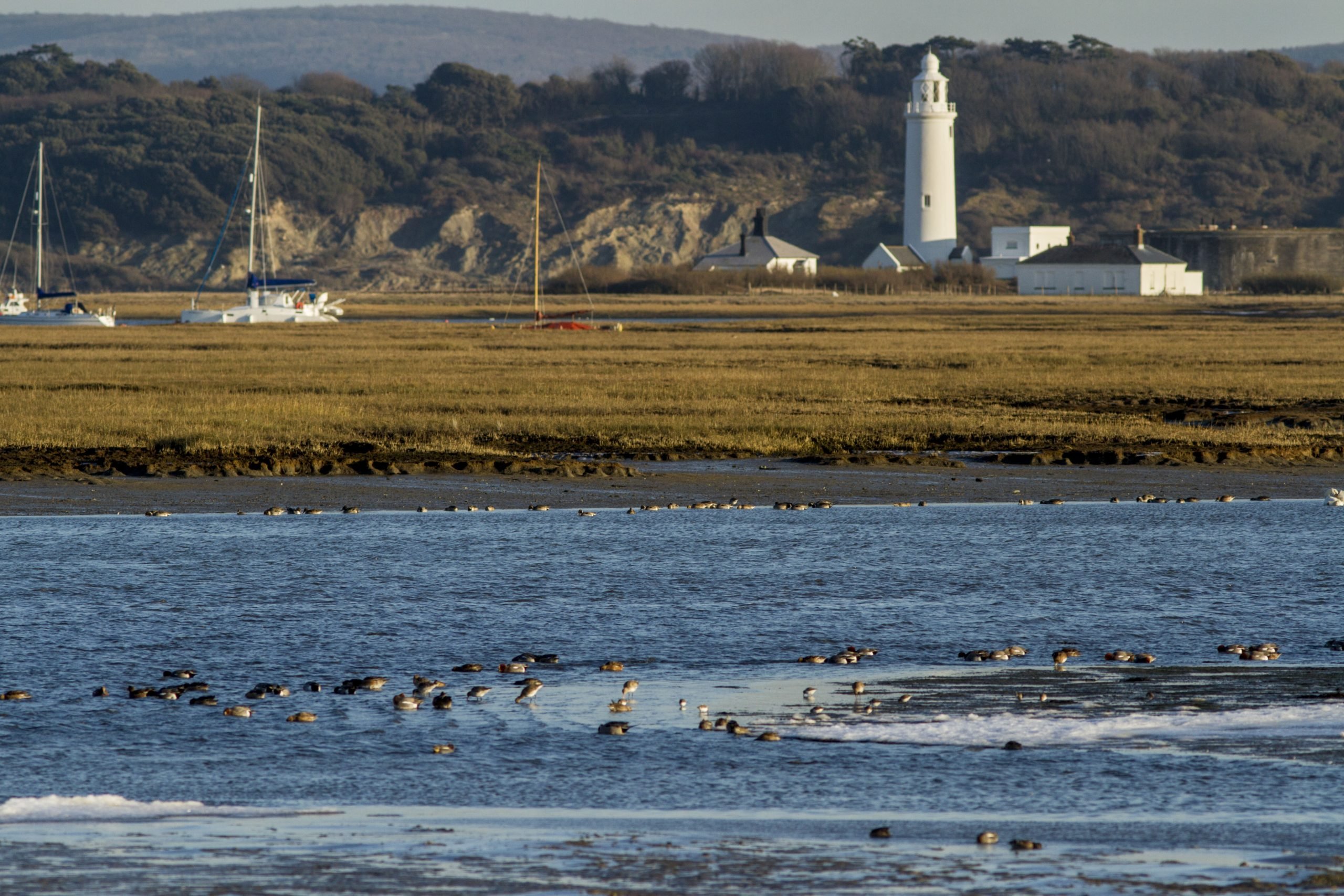 Hurst Spit lighthouse and buildings beside a tidal marsh, with sailboats and seabirds on the water in the foreground