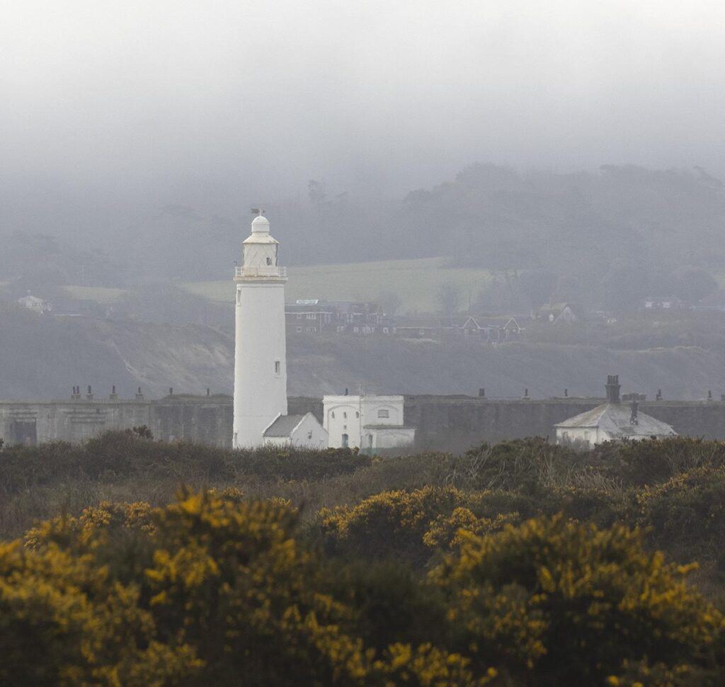 a lighthouse in mist