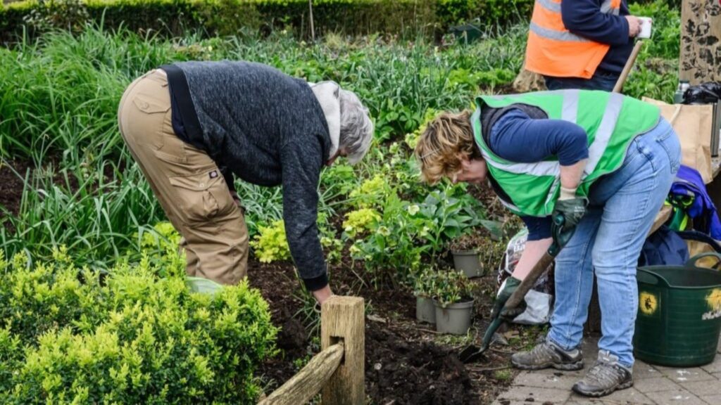 Two people digging in plants.