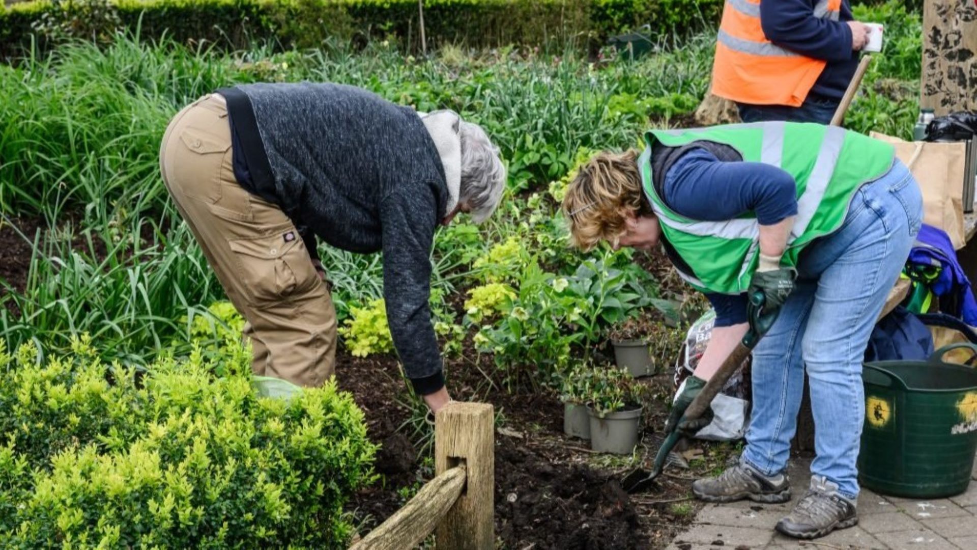 Two people digging in plants.