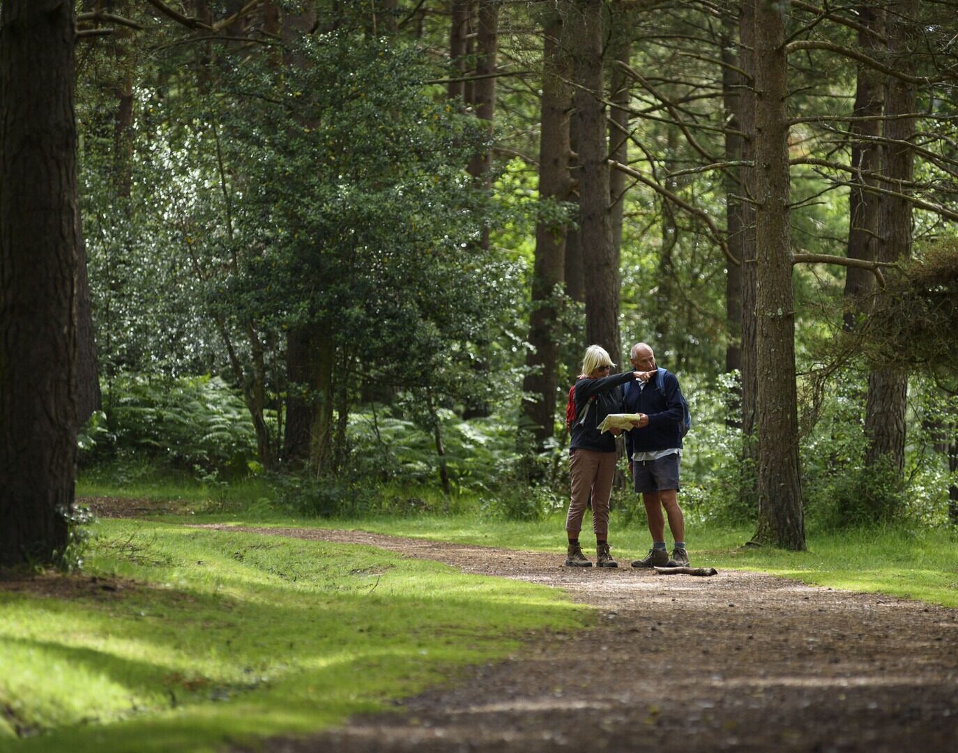 A couple stands on a track in a wooded area of the new Forest looking at a map.