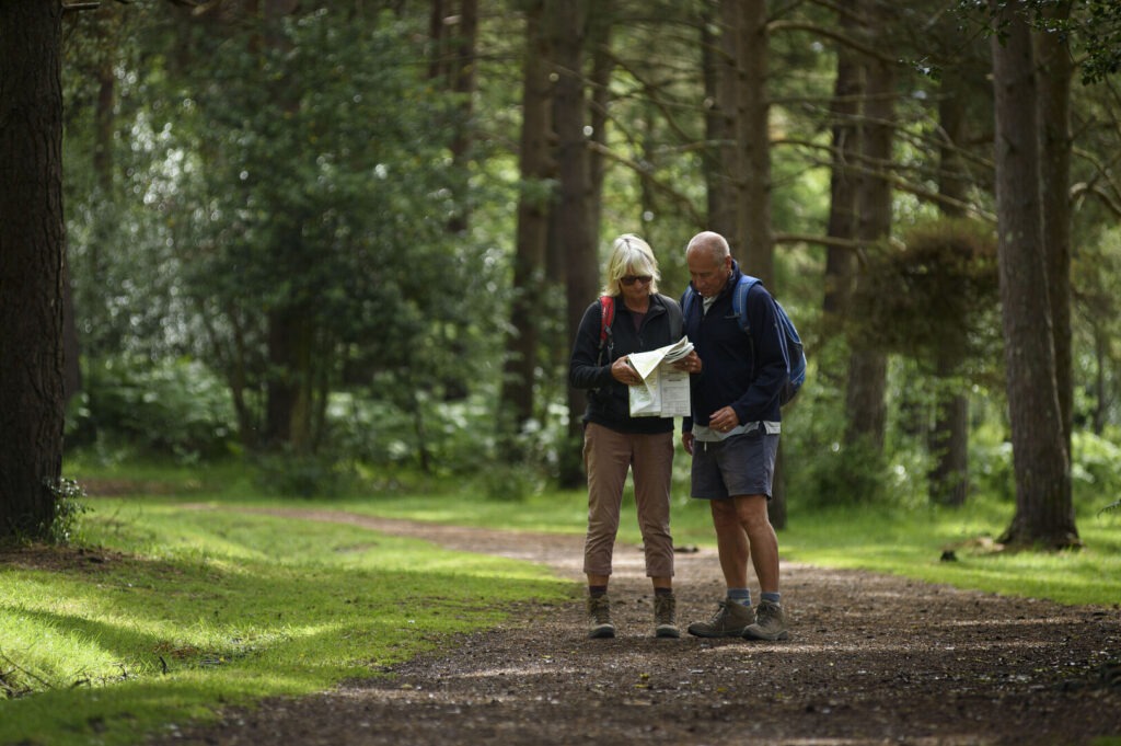 A couple stands on a track in a wooded area of the new Forest looking at a map.