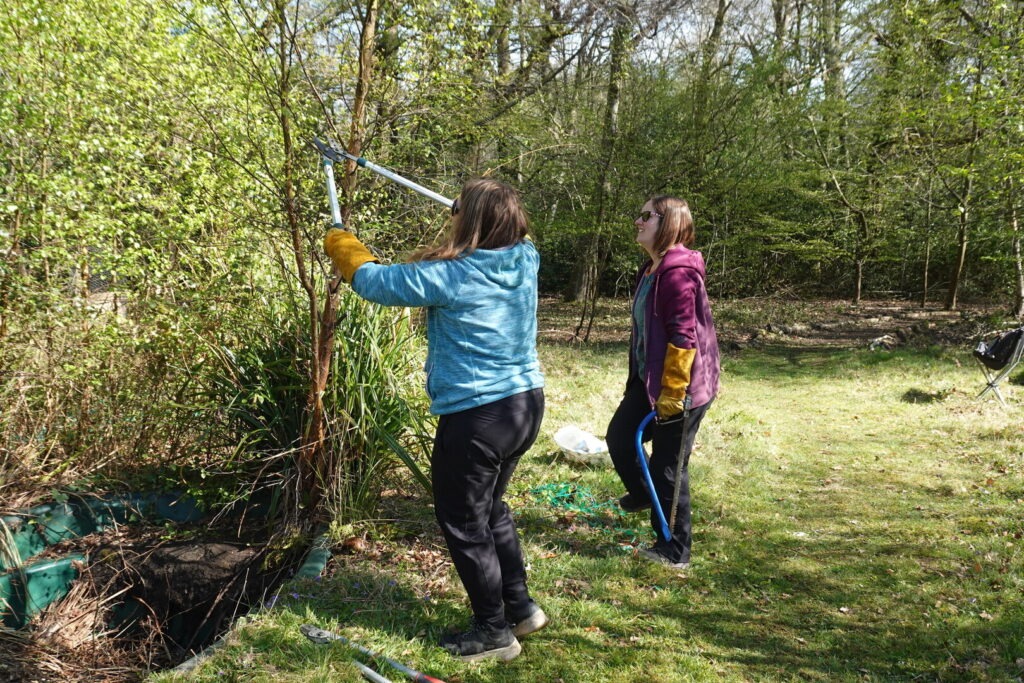 A pair of volunteers cut back vegetation with tools.