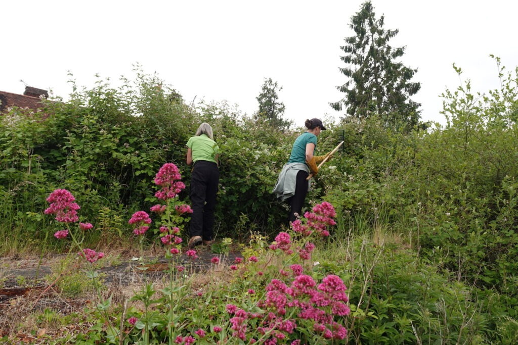 Volunteers with the New Forest National Park Authority stand on the former Breamore Railway Line platform undertaking a clearance task.