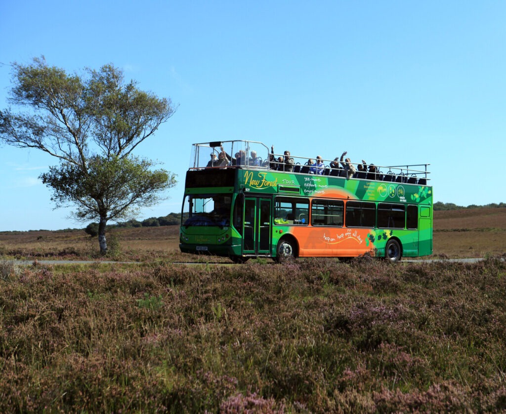 New Forest Tour open-top double decker bus.