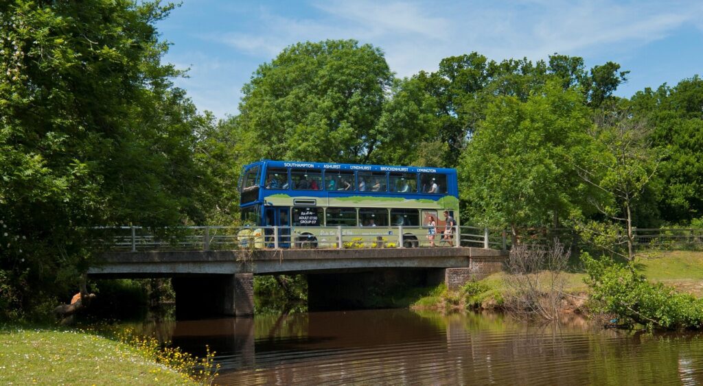 Bus in the New Forest.