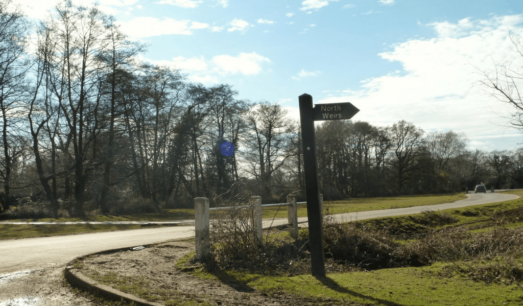 Brockenhurst to Lyndhurst Circular