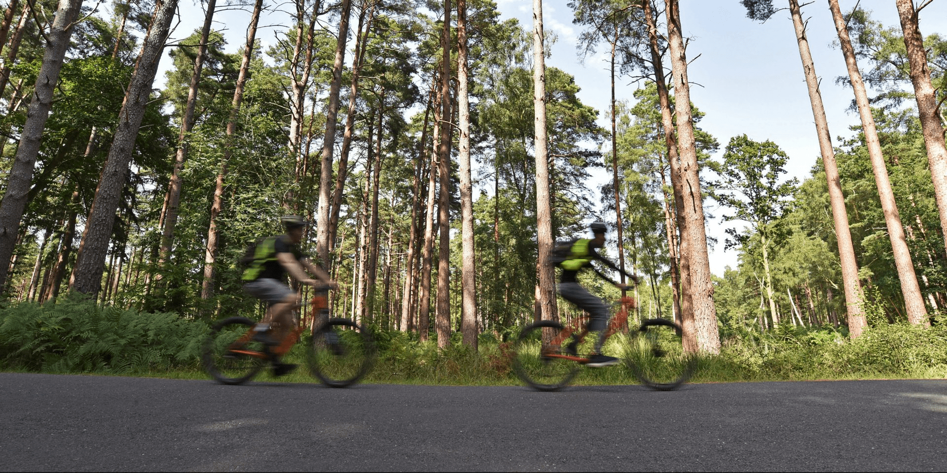Two cyclists riding along a paved road through tall pine forest, motion blurred in the foreground