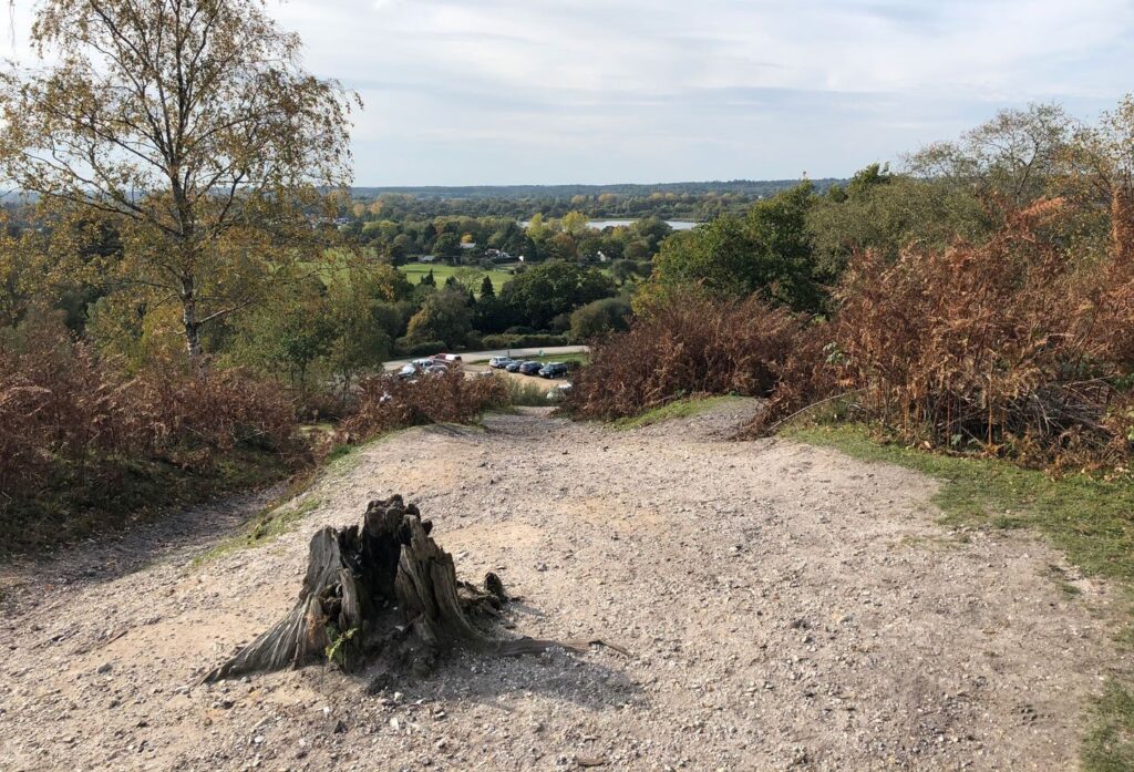 Gravel hilltop path with a tree stump in foreground, overlooking autumn woodland, a car park, and distant fields and lakes