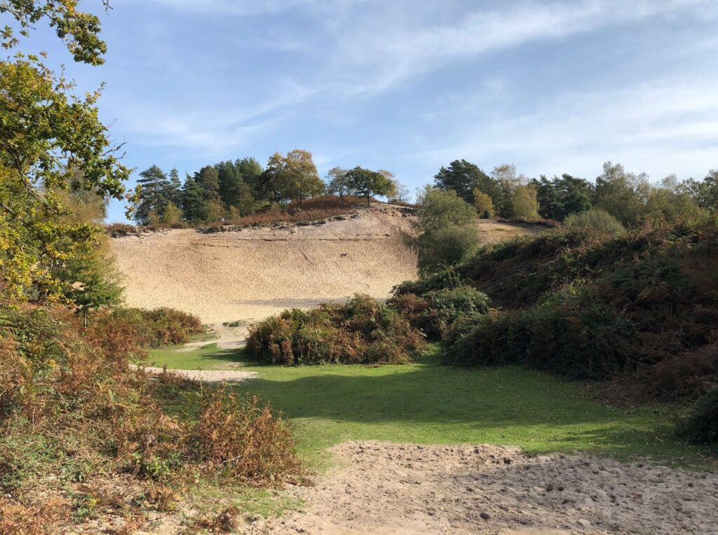 Grassy path through shrubs leading to a large sandpit with trees on the ridge under a blue sky