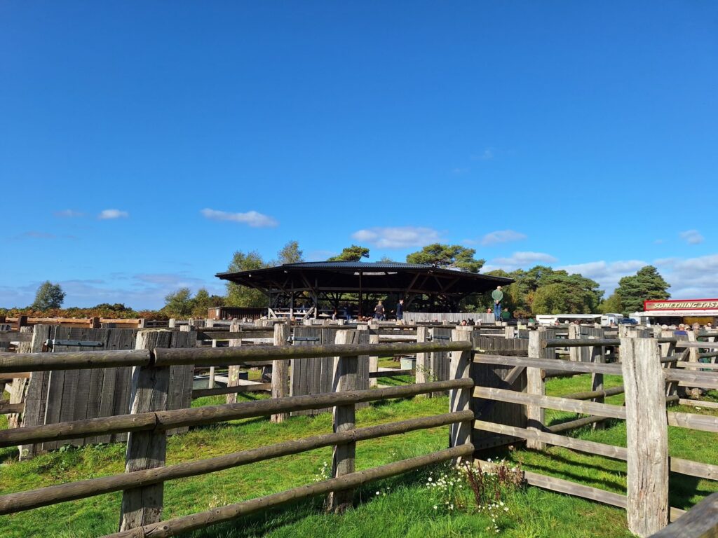 20251009_114945-1920×1440