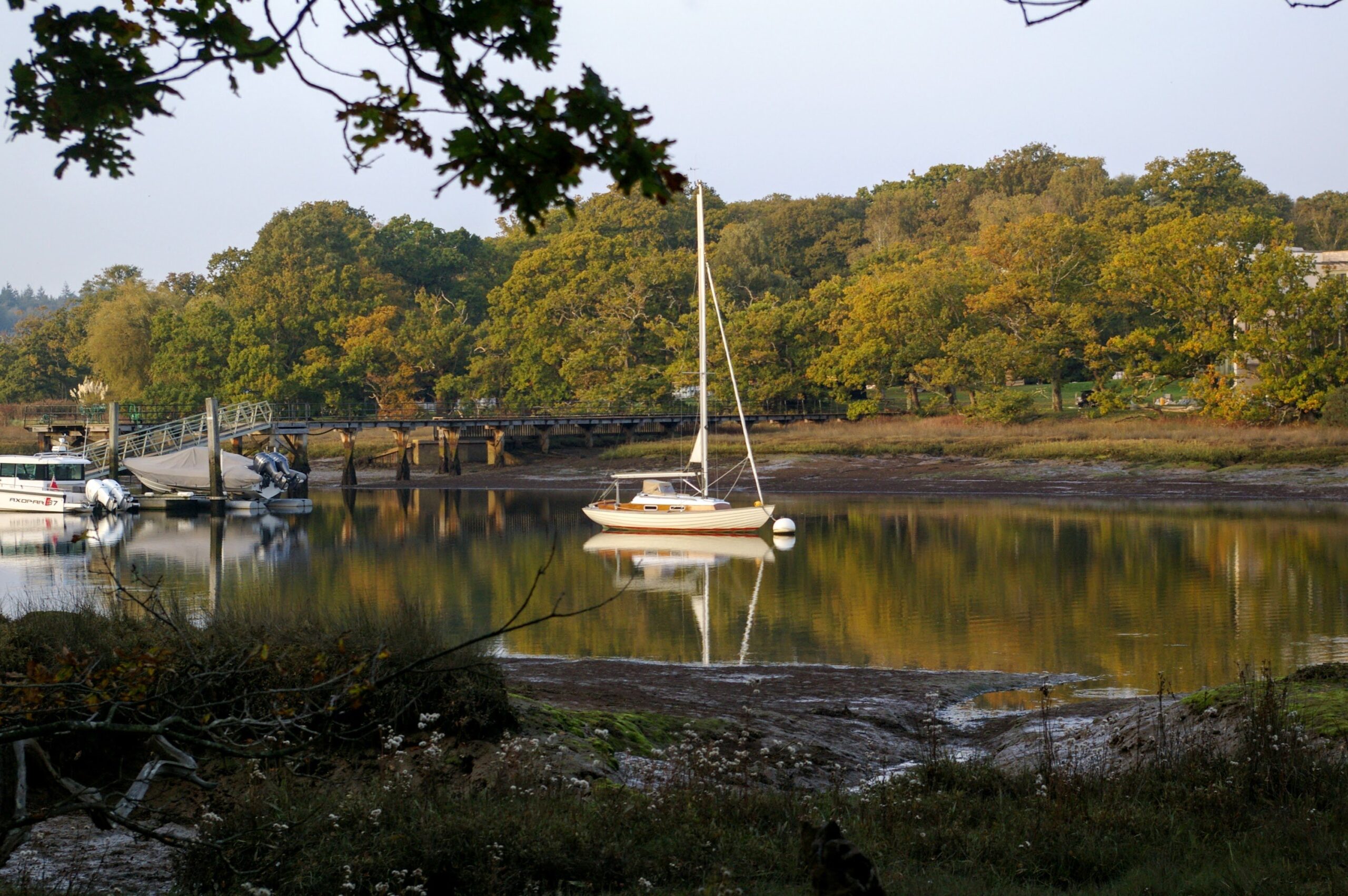 Angela_Bahamondes__Beaulieu