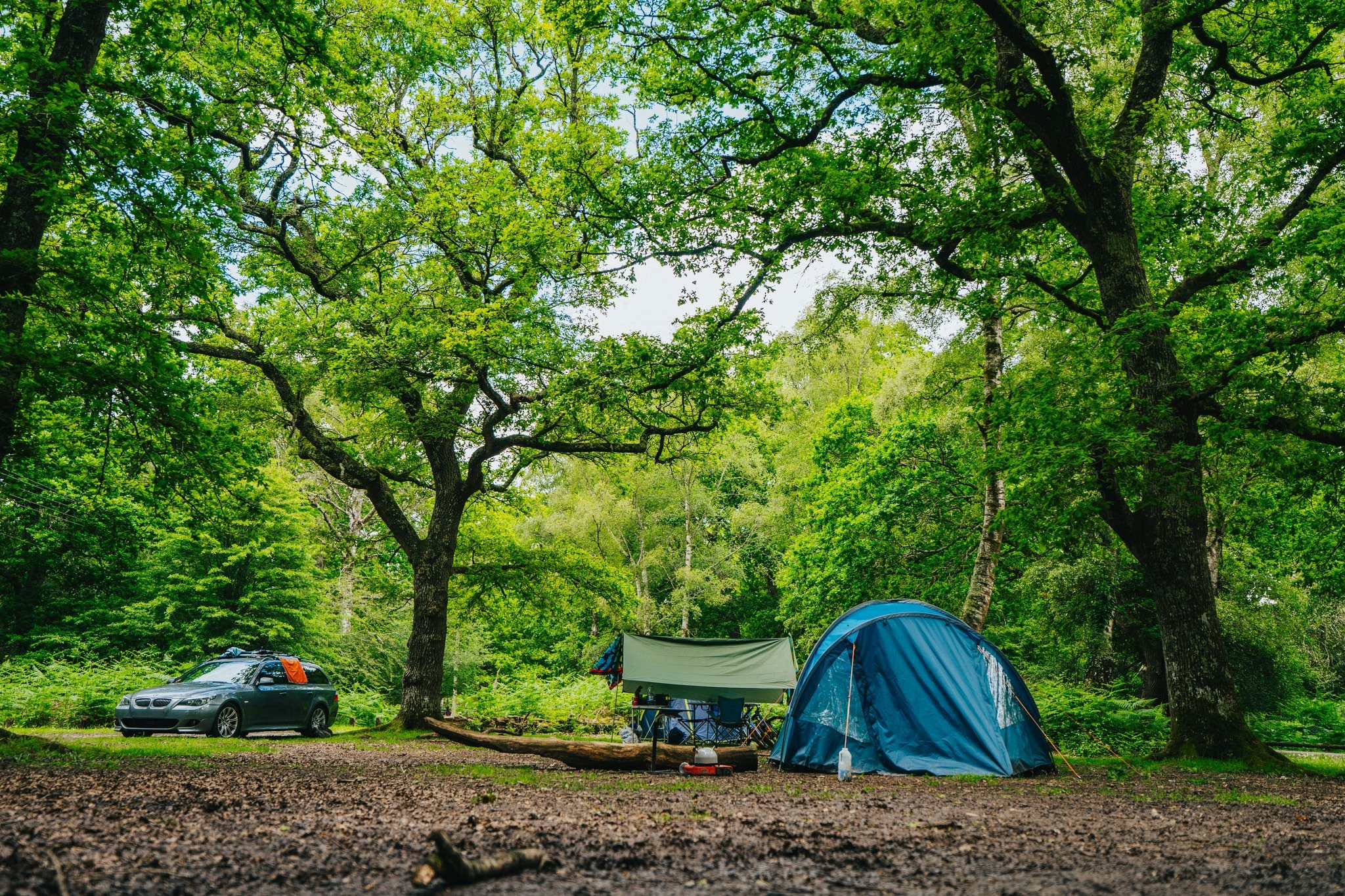 A tent and a car in a Camping New Forest campsite