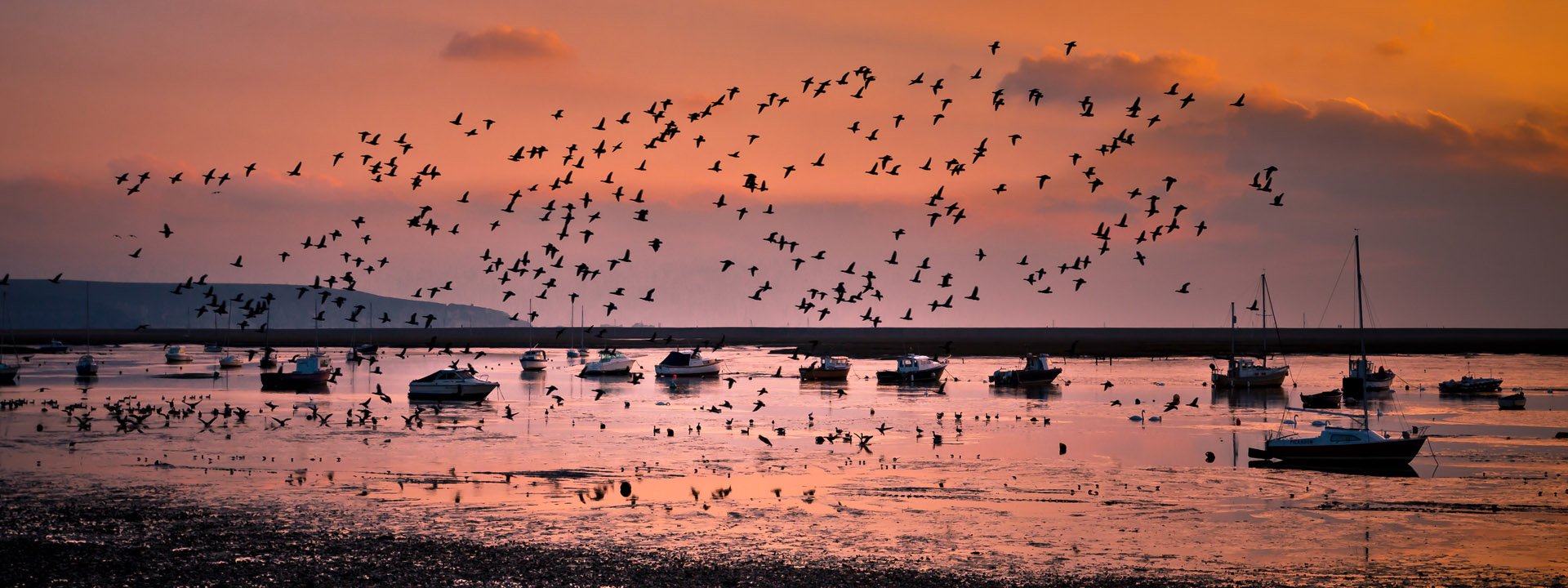 Coastal sunset scene