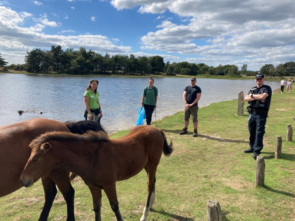 Cross partnership working[13192]